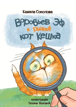 Камила Соколова Воробьев Эф и рыжий кот Кешка обложка книги