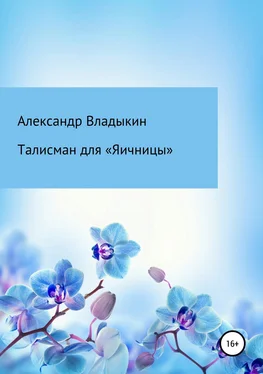 Александр Владыкин Талисман для «Яичницы» обложка книги