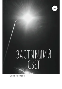 Дина Павлова Застывший свет обложка книги