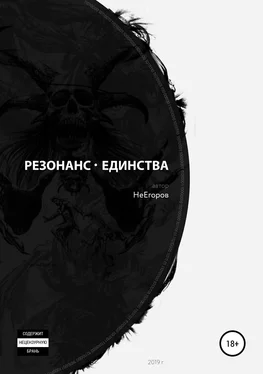 Не Егоров Резонанс единства обложка книги