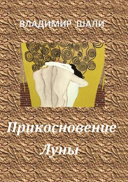 Владимир Шали Прикосновение Луны. Книга стихотворений 1970-1990 обложка книги