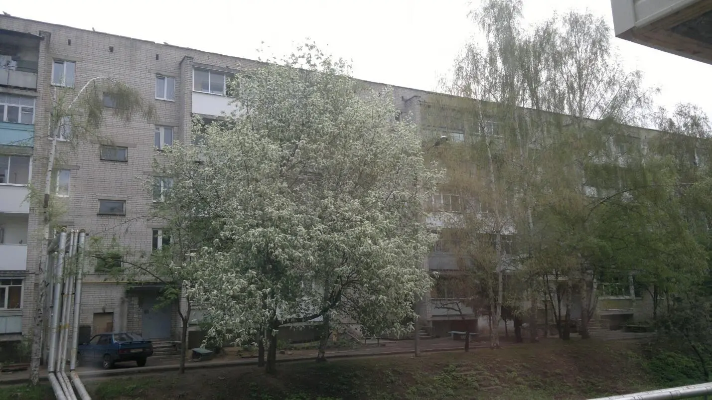 Лида Затюряхина родом была из Воронежской области Папа ее занимал пост - фото 2
