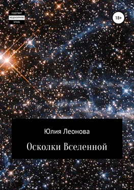 Юлия Леонова Осколки Вселенной обложка книги