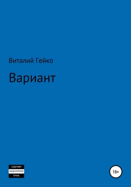 Виталий Гейко Вариант обложка книги