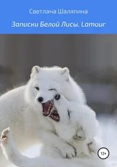 Светлана Шаляпина - Записки Белой Лисы. Lamour