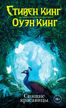 Оуэн Кинг Спящие красавицы обложка книги