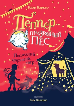 Клэр Баркер Последний цирковой тигр обложка книги