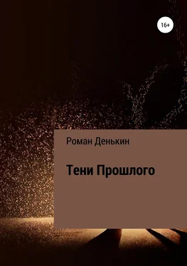 Роман Денькин Тени прошлого обложка книги