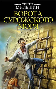 Сергей Мильшин Ворота Сурожского моря обложка книги