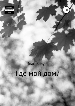 Иван Валуев Где мой дом? обложка книги