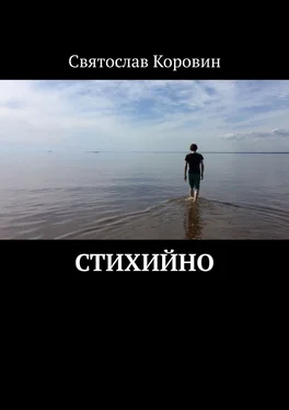 Святослав Коровин Стихийно обложка книги