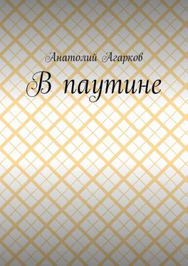 Анатолий Агарков В паутине обложка книги