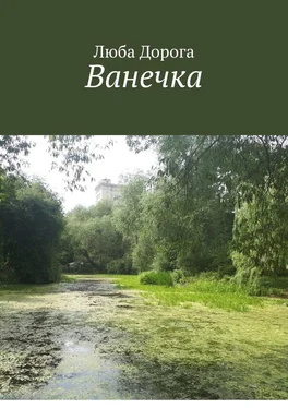 Люба Дорога Ванечка обложка книги