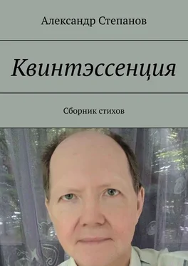 Александр Степанов Квинтэссенция. Сборник стихов обложка книги