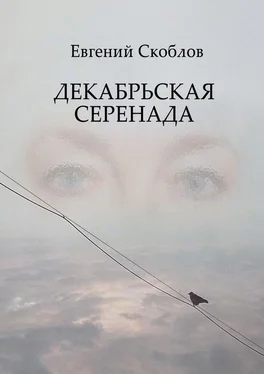 Евгений Скоблов Декабрьская Серенада. Издание третье обложка книги