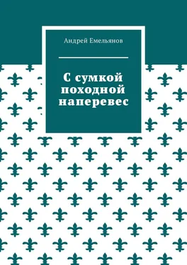 Андрей Емельянов С сумкой походной наперевес обложка книги