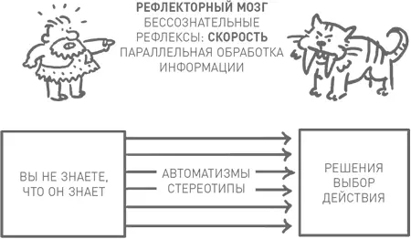 Вывод таков автоматизмы и стереотипы помогают нам но иногда ведут к - фото 18
