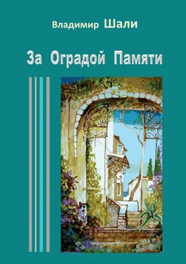 Владимир Шали За оградой памяти обложка книги