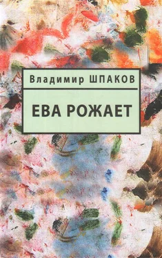 Владимир Шпаков Ева рожает обложка книги