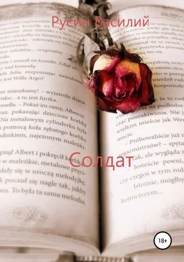 Василий Русин Солдат обложка книги