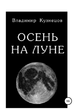 владимир кузнецов Осень на Луне обложка книги