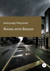Александр Мануилов - Жизнь кота Васьки