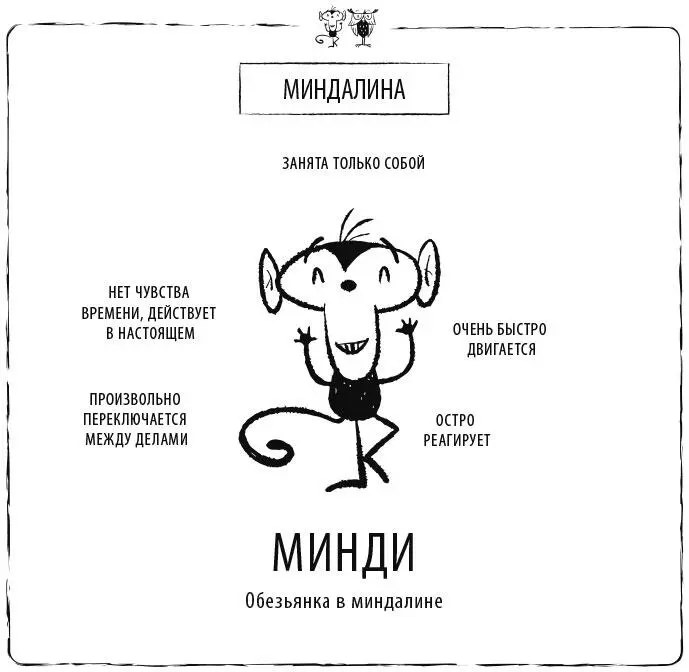 Это передовая линия защиты твоего мозга в ситуациях бей или беги Она - фото 2