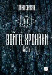 И. Сказитель - Войга. Хроники
