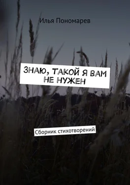 Илья Пономарев Знаю, такой я вам не нужен. Сборник стихотворений обложка книги