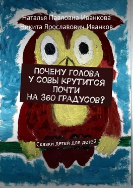 Наталья Иванкова Почему голова у совы крутится почти на 360 градусов? Сказки детей для детей обложка книги