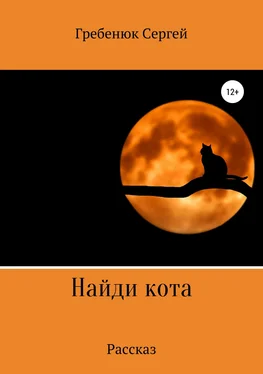 Сергей Гребенюк Найди кота обложка книги