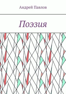 Андрей Павлов Поэзия обложка книги