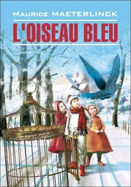 Морис Метерлинк L'oiseau bleu: Féerie en six actes et douze tableaux / Синяя птица. Книга для чтения на французском языке обложка книги