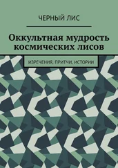 Черный Лис - Оккультная мудрость космических лисов. Изречения, притчи, истории