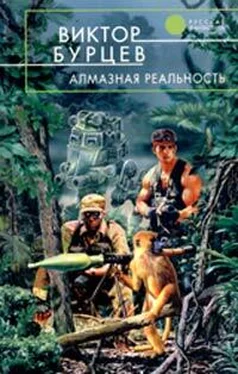 Виктор Бурцев Алмазная реальность обложка книги