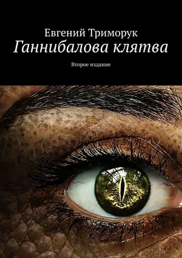 Евгений Триморук Ганнибалова клятва. Второе издание обложка книги