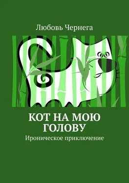 Любовь Чернега Кот на мою голову. Ироническое приключение обложка книги