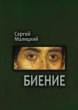 Сергей Малицкий Биение. Камни Митуту. Книга четвертая обложка книги