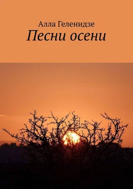 Алла Геленидзе Песни осени. Издание второе обложка книги