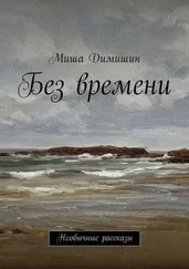 Миша Димишин - Без времени. Необычные рассказы
