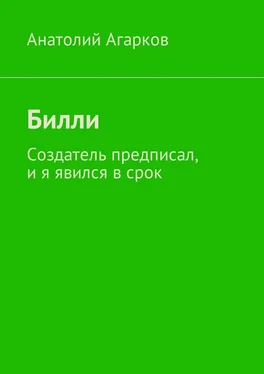 Анатолий Агарков Билли. Создатель предписал, и я явился в срок обложка книги