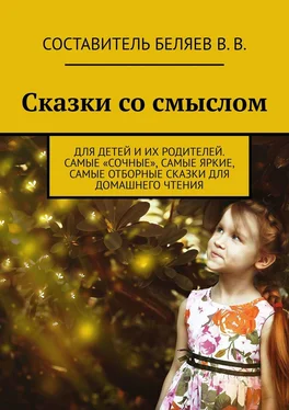 Владимир Беляев Сказки со смыслом. Для детей и их родителей. Самые «сочные», самые яркие, самые отборные сказки для домашнего чтения обложка книги