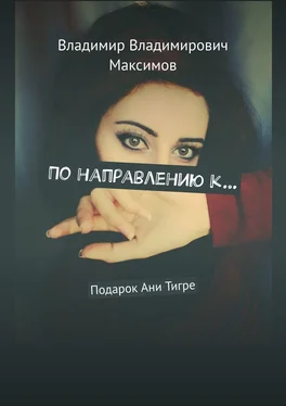 Владимир Максимов По направлению к… Подарок Ани Тигре обложка книги