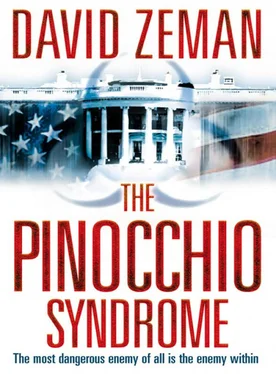 David Zeman The Pinocchio Syndrome обложка книги