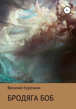 Василий Курочкин Бродяга Боб обложка книги