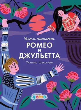 Мелисса Медина «Ромео и Джульетта» Уильяма Шекспира обложка книги