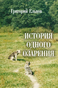 Григорий Ельцов История одного озарения обложка книги