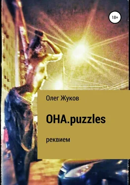 Олег Жуков ОНА.puzzles обложка книги