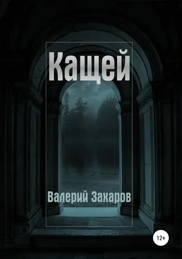 Валерий Захаров Кащей обложка книги