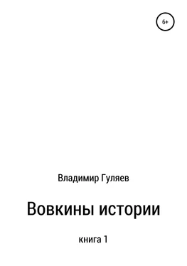 Владимир Гуляев Вовкины истории. Книга 1 обложка книги